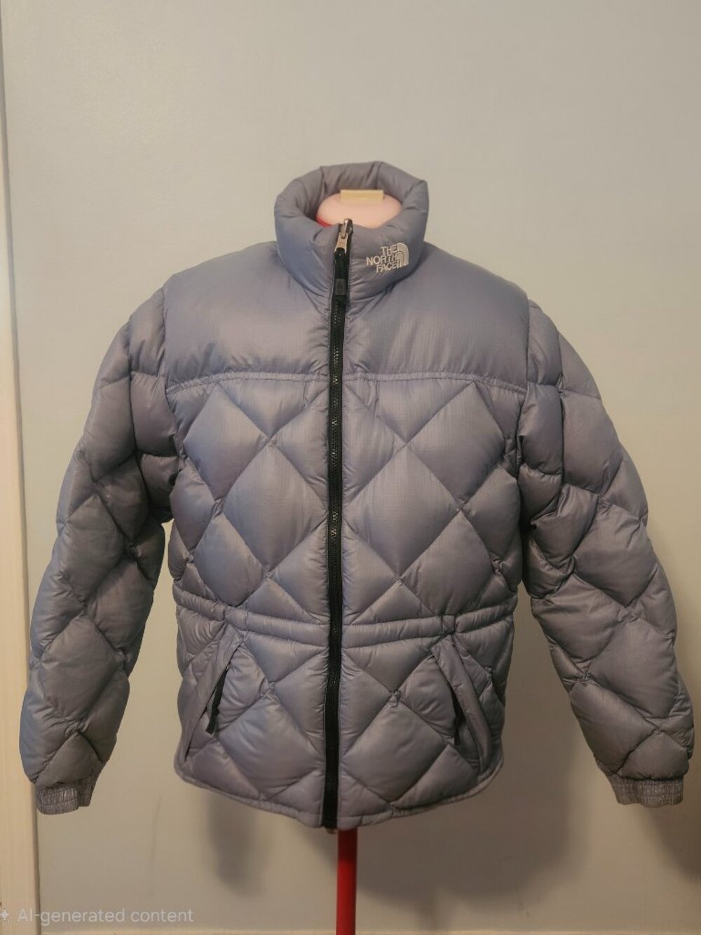 North Face Goose Down Coat